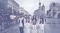 Ödland in Kraków from Sankta Lucia