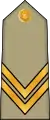 Sergent chef(Arabic: رقيب أول, romanized: Raqib awwal)(Algerian Land Forces)