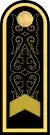 Бас старшинаBas starshyna(Kazakh Naval Forces)