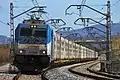 Freight train on the line