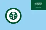 Royal Saudi Air Force