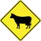 Domestic livestock
