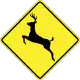 Wild animals