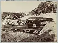 Armstrong gun