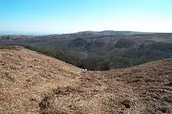Black Ball Camp: a later prehistoric defended settlement on Gallox Hill