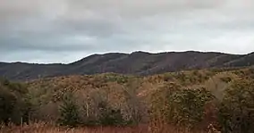 Caldwell Fields
