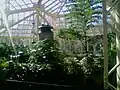 Cecil B. Day Butterfly Center