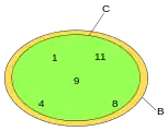 C is a subset but not a proper subset of B. A number is in B if and only if it is in C, and a number is in C if and only if it is in B.