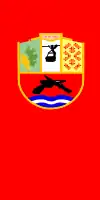 Flag of Demir Hisar