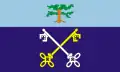 Flag of Saint Pierre du Bois