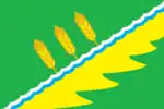 Flag of Tayshetsky District