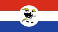 Flag of Chinland
