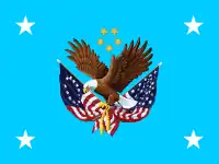 Flag of the Director of the National Cemetery System