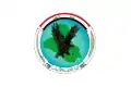 Flag of the Iraqi Counter Terrorism Service
