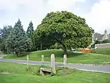 Village Green in Great Rissington