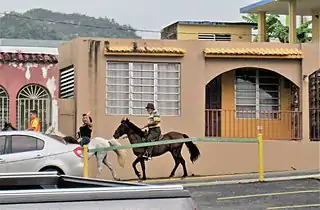 Horse-back riding