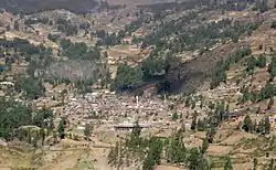 Huari