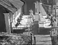 Children bedridden outside, 1938