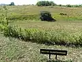 Killing fields at Drobytsky Yar (the sign reads 'Burial place')