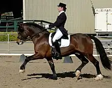 A reddish-brown horse at a trot, facing left, ridden by a woman in a black top hat, black tail coat, white breeches and tall black boots