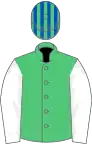 EMERALD GREEN, white sleeves, royal blue and emerald green striped cap