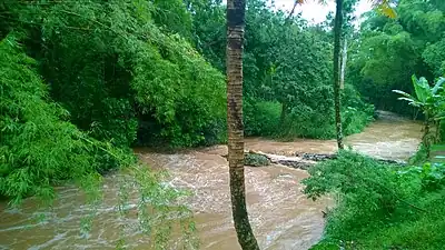 Río Cibuco from PR-818 bridge