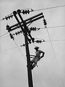 Image 16A Rural Electrification Administration lineman at work in Hayti, Missouri in 1942. (from History of Missouri)