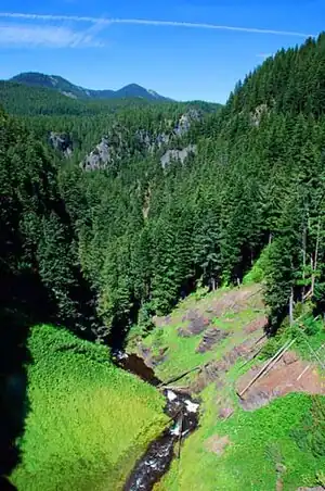 The view of Salt Creek just below Salt Creek Falls in the Cascade Mountains