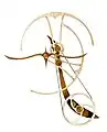Solo is a spring-driven kinetic sculpture designed in 2014. The motion of flight has been a recurring theme in his work first appearing in 1988 in a sculpture called Flight.