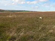 Stone circle on Withypool Hill 670 m ESE of Portford Bridge