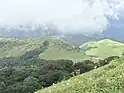 View from Tadiandamol Peak during august end