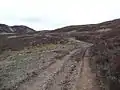 Forestry tracks leading from Farley Wood to the loch