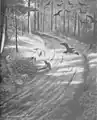 Fattigmannen, 1894–95 (The Pauper)