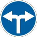 Turn left or right (no straight ahead)