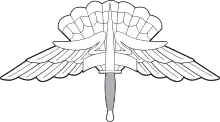 Army & Air Force HALO/HAHO Badge