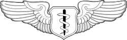 Flight Surgeon Badge