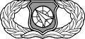 Weapons Director Badge