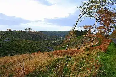Valley landscapes