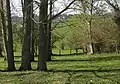 View to Linton ridge from Gorsley Common