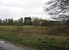 [Warnborough Greens